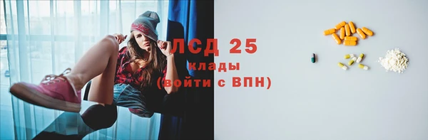 стафф Арсеньев