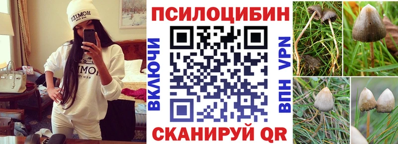 Галлюциногенные грибы мухоморы  дарнет шоп  Ноябрьск 